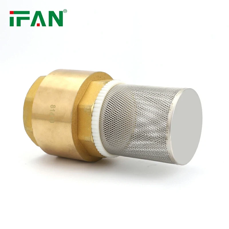 Plumbing Fittings Brass Check Valve best