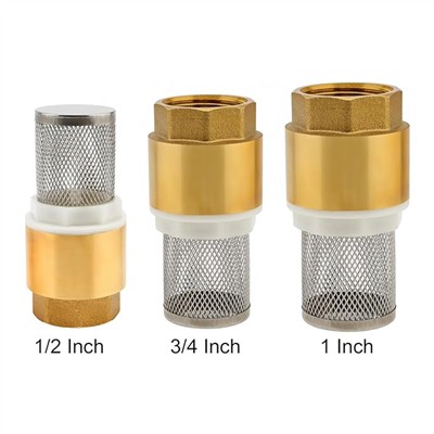 Brass Vertical Check Valve